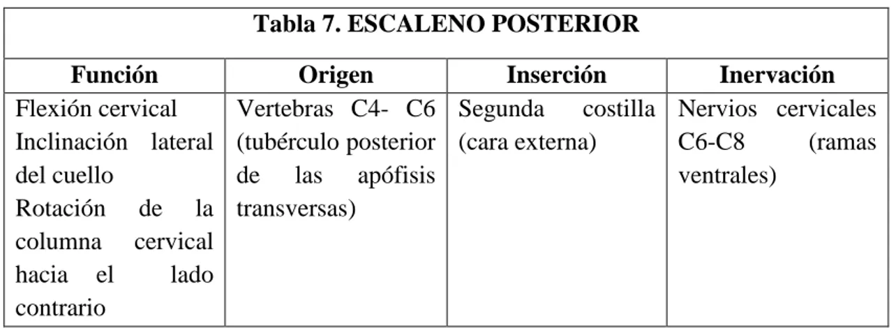 Tabla 8. ESTERNOCLEIDOMASTOIDEO