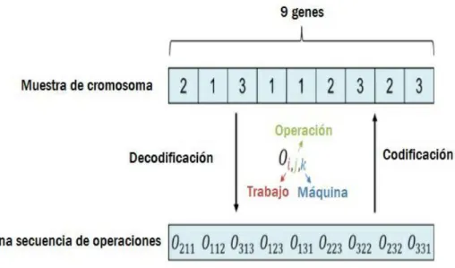 Figura 4: Representaci´ on de la codificaci´ on y decodificaci´ on del gen