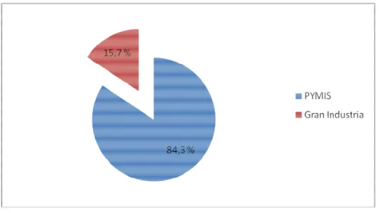 Figura 1.1 Distribución de las PYMIS y la Gran Industria 