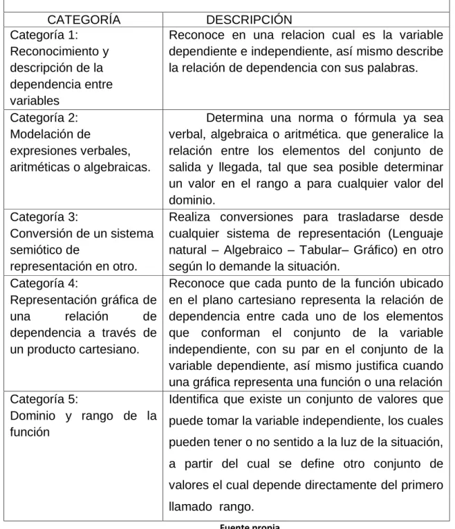 Tabla 6 Categorías para el análisis del concepto de función
