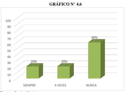 GRÁFICO N° 4.6 