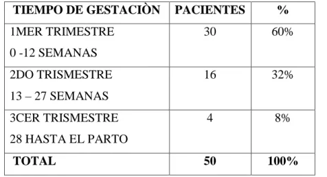 GRÁFICO Nº 1 