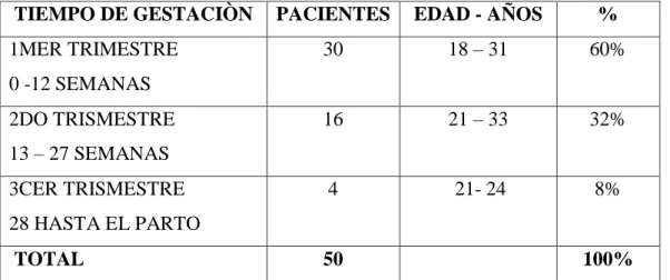 GRÁFICO Nº 2 