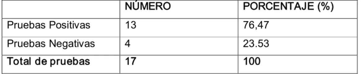 TABLA No 2. 