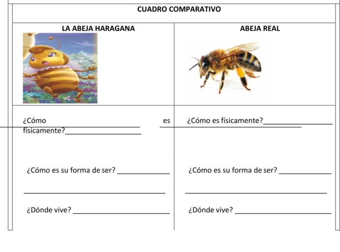 CUADRO COMPARATIVO 