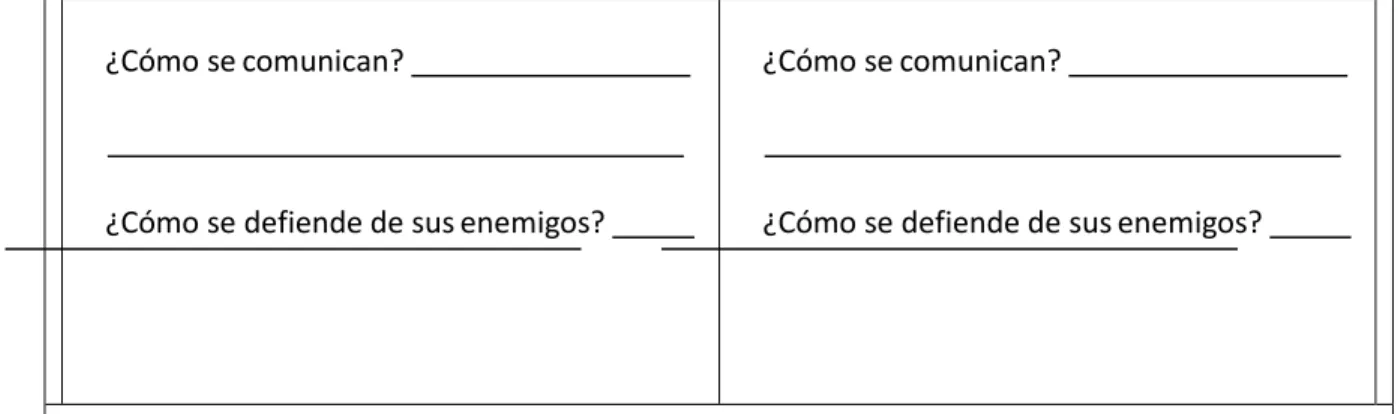 CUADRO COMPARATIVO 