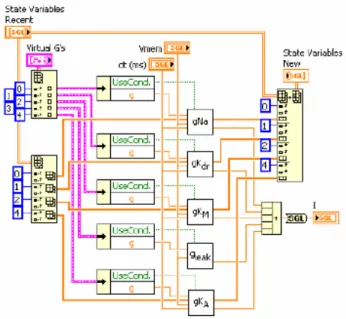 Figura 6. Panel de control que visualiza el potencial de acción  de los iones Na +   K +   tiempo (ms) y potencial en (mV)