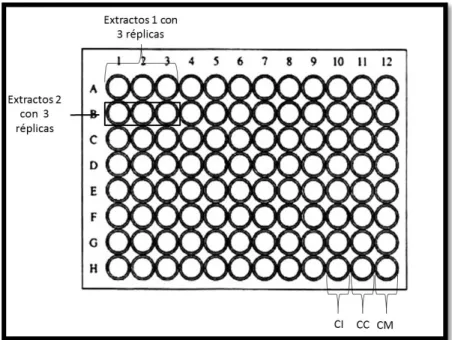 Figura 8. Esquema utilizado para la adición de extractos y establecimiento de los  controles, CI: Control de inhibición, CC: Control de crecimiento, CM: control de medio y 