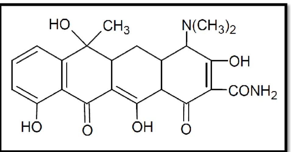 Figura 16. Estructura general de las tetraciclinas. 