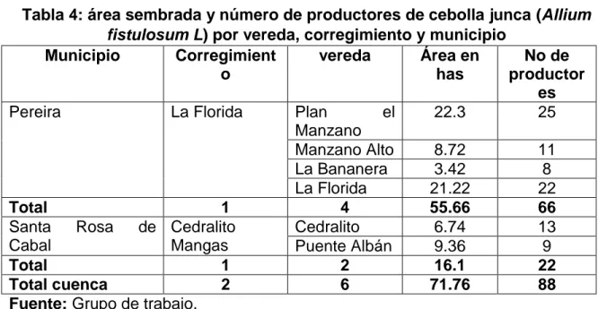 Tabla 4: área sembrada y número de productores de cebolla junca (Allium  fistulosum L) por vereda, corregimiento y municipio 