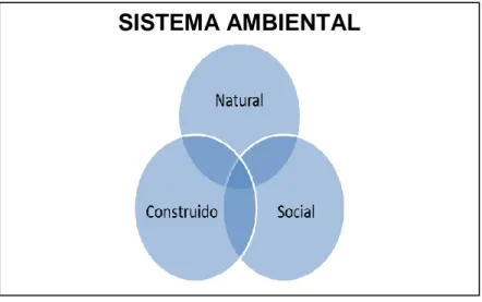 Ilustración 2: Sistema Ambiental 