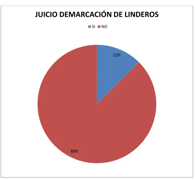 GRÁFICO ENTREVISTA 7 