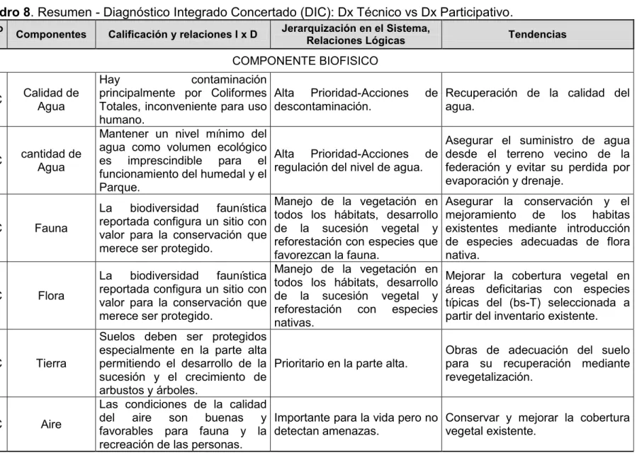 Cuadro 8. Resumen - Diagnóstico Integrado Concertado (DIC): Dx Técnico vs Dx Participativo