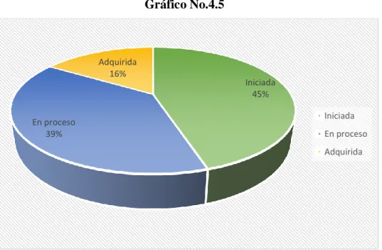 Gráfico No.4.5 