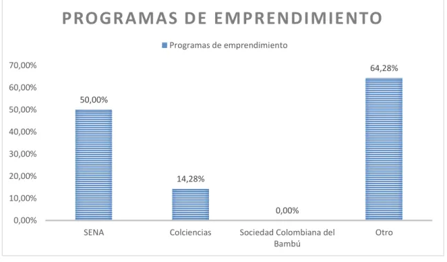Figura 17. Programas de emprendimiento en que ha participado la empresa. 