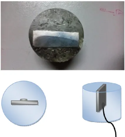 Figura 2. Probeta o electrodo de trabajo (ET) montada en resina epóxica