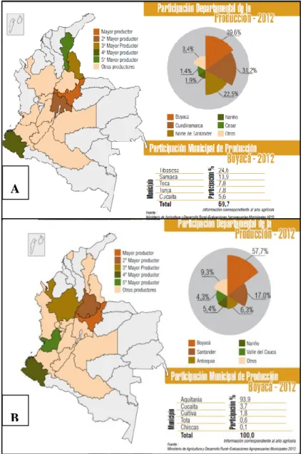 Figura 6. Participación departamental en producción de cebolla de huevo y cebolla larga respectivamente  (Ministerio de Agricultura, 2012.)