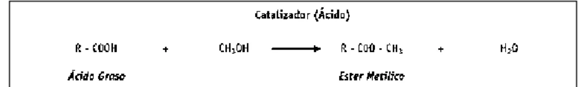 Figura 5. Reacción de esterificación 