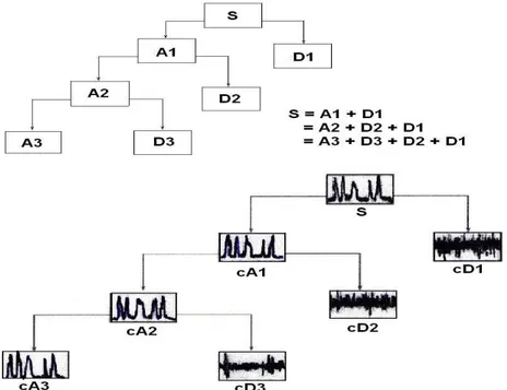 Figura 8. Modo de descomposición de la señal (S), en que opera el análisis  Wavelet. De cada descomposición se obtiene una aproximación (A) y un Detalle  (D) 