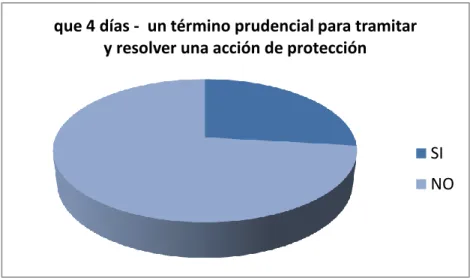 Figura  1.- Término para resolver una acción de protección. 