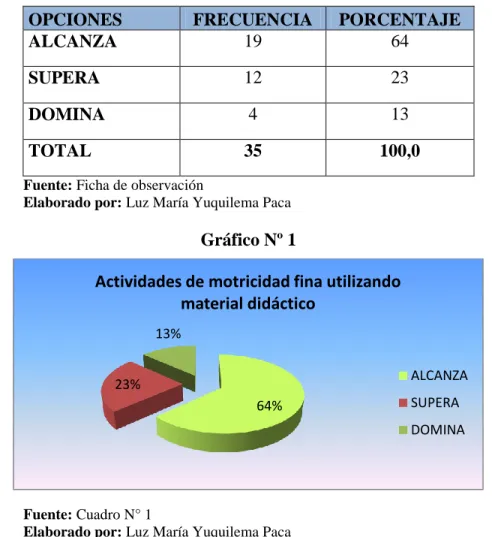 Gráfico Nº 1  