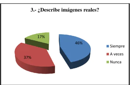 GRÁFICO Nro. 3.6. 