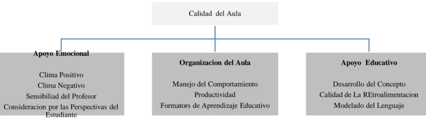 Figura 1. Resumen de los dominios y dimensiones del CLASS. 