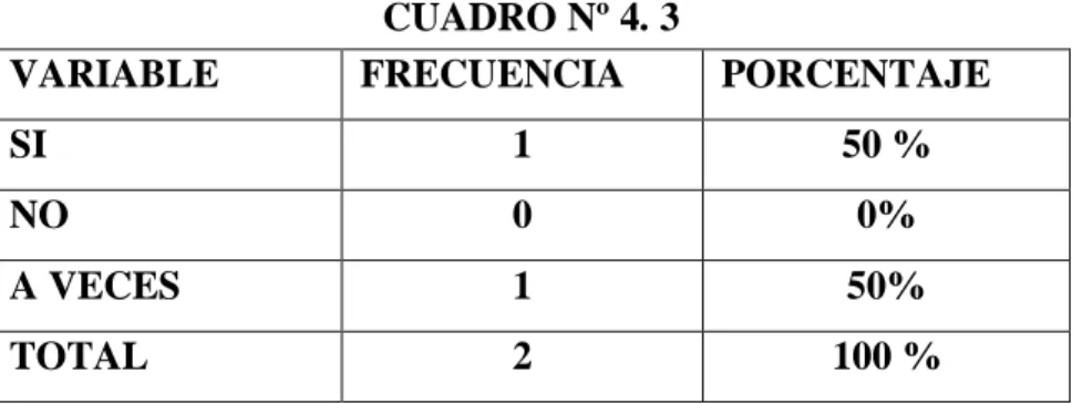 GRÁFICO Nº 4. 3