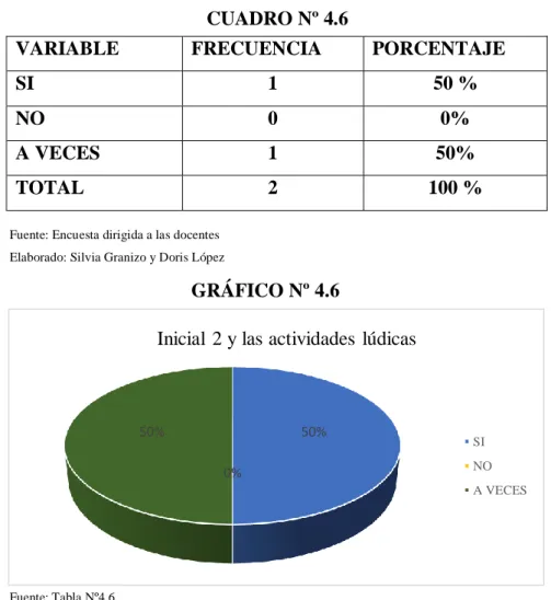 GRÁFICO Nº 4.6