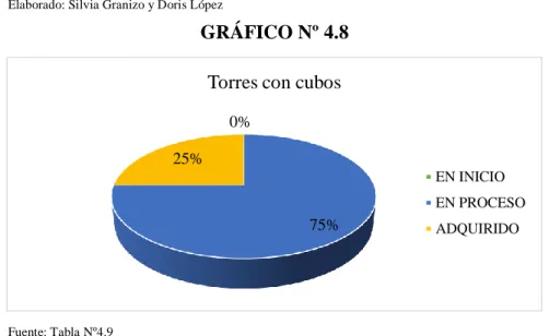 GRÁFICO Nº 4.8