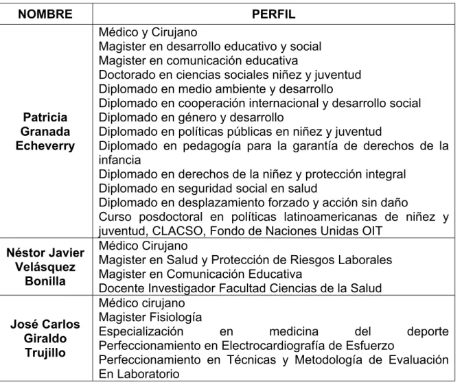 Cuadro 6. Perfil profesional de expertos