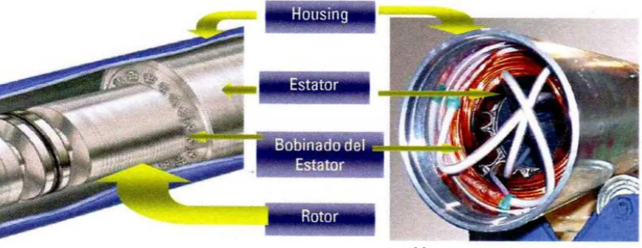 Figura 2.4 Estator y rotor  [5]
