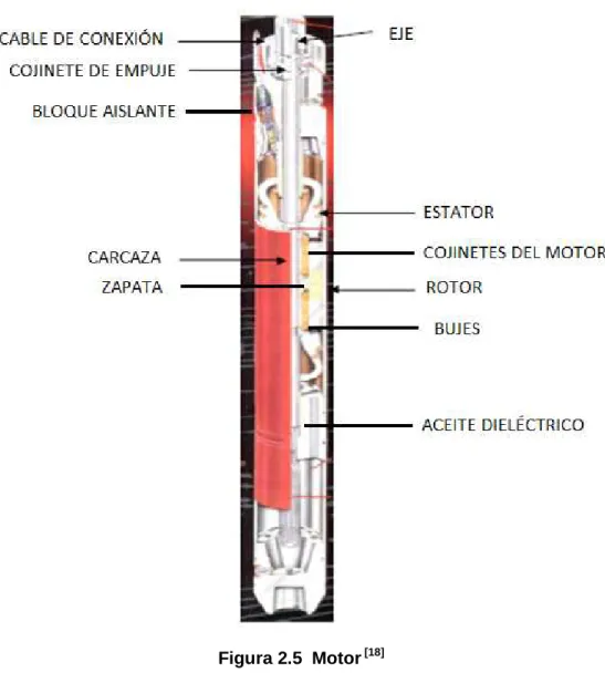 Figura 2.5  Motor  [18] 