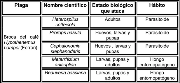 Tabla 3. Enemigos naturales de la broca del fruto del café, (Bustillo et al  1998).  
