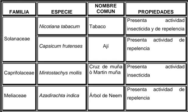 Tabla  5.  Extractos  de  plantas  que  presentan  actividad  insecticida  y  repelente  contra la broca del café (Hypothenemus hampei), (Ramirez, 2004)