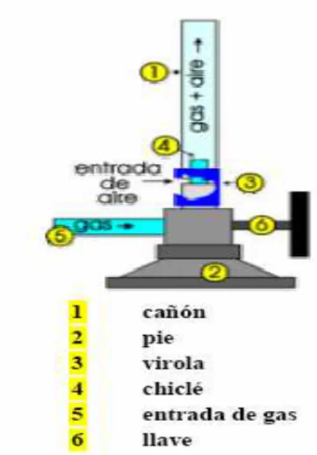 FIGURA 3. VIROLA 