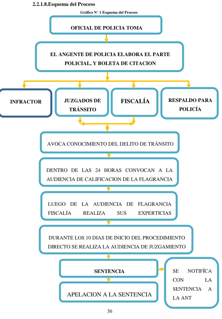 Gráfico N° 1 Esquema del Proceso 