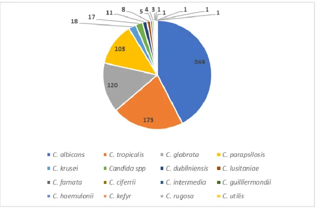 Gráfico 5. Frecuencia de aislamientos por especie entre enero 1 de 2007 y junio 30 de 2018