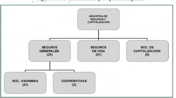Figura No. 10: Clasificación por tipo de compañías 