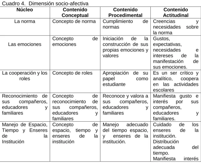 Cuadro 4.  Dimensión socio-afectiva 