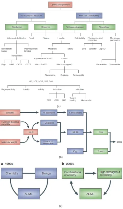 Figure 2. a. An analysis of the crucial ADME processes for which predictive models are available or are being devel‐