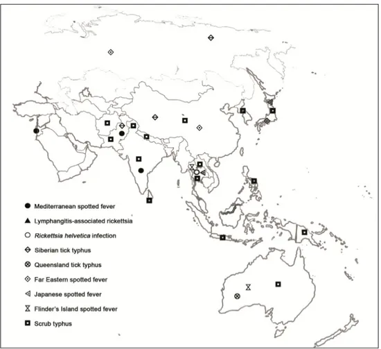 Fig. 11. Map showing distribution of human cases of tick-borne rickettsioses and srub  typhus in Asia and Oceania