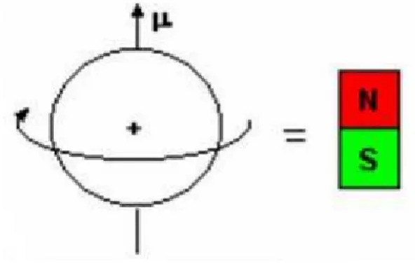 Figura 11.  Relación  núcleo-Dipolo. 