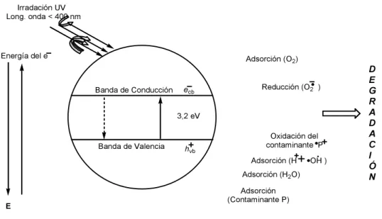 Figura 1. Proceso general de la fotocatálisis heterogénea. 