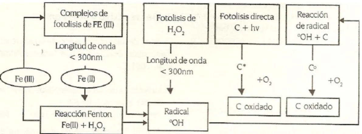 Figura 2. Diferentes vías de formación del radical hidroxilo según la reacción Foto- Foto-fenton.