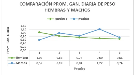 Gráfico 1. Comparación promedio ganancia diaria de peso hembras y machos 