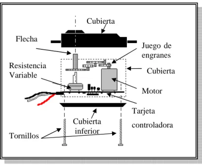 Figura  1.22   Principales partes que constituyen un servomotor, tomado de [24] 