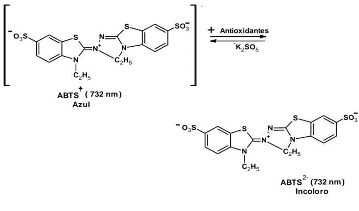 Figura  9.  Estructura  del  ABTS •+   antes  y  después  de  la  reacción  con  el  antioxidante (Zuleta et al., 2009)