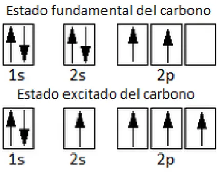 Figura 1. Configuración electrónica del carbono en su estado fundamental y en su estado excitado  [11]