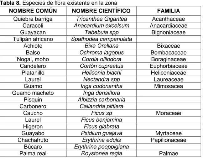 Tabla 8. Especies de flora existente en la zona  